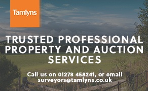 Tamlyns Professional